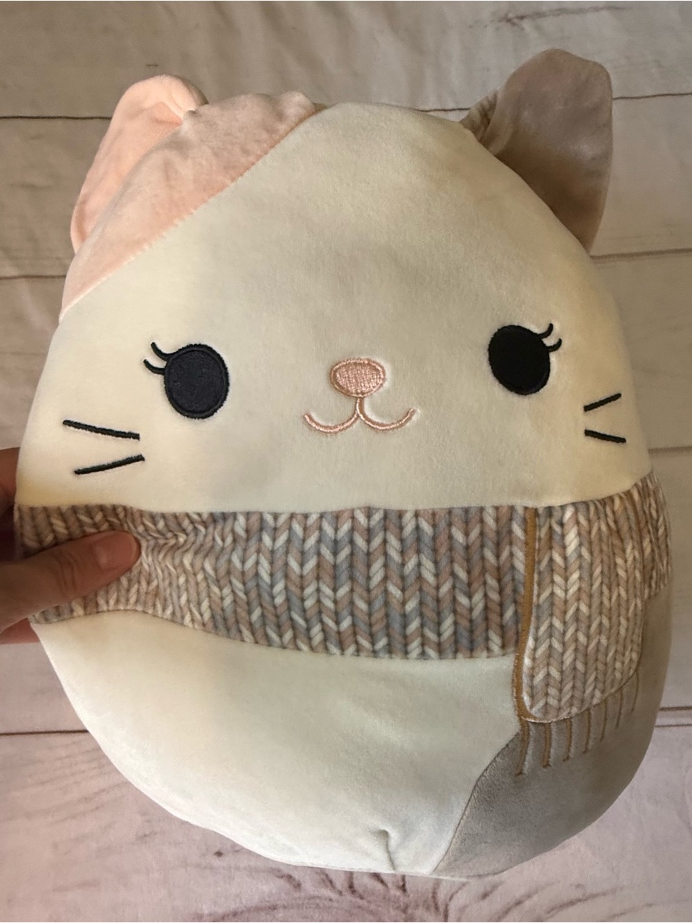 Squishmallow Camette The Cat 12 in - Picture 3 of 7